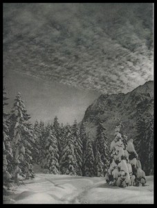 neve